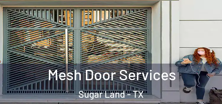 Mesh Door Services Sugar Land - TX